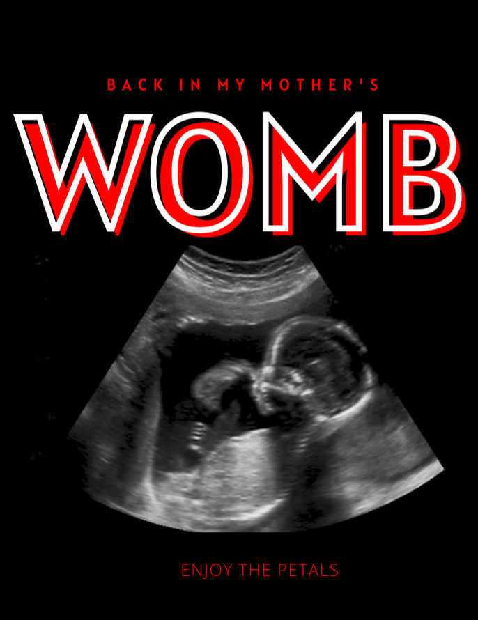 Back In My Mother's Womb